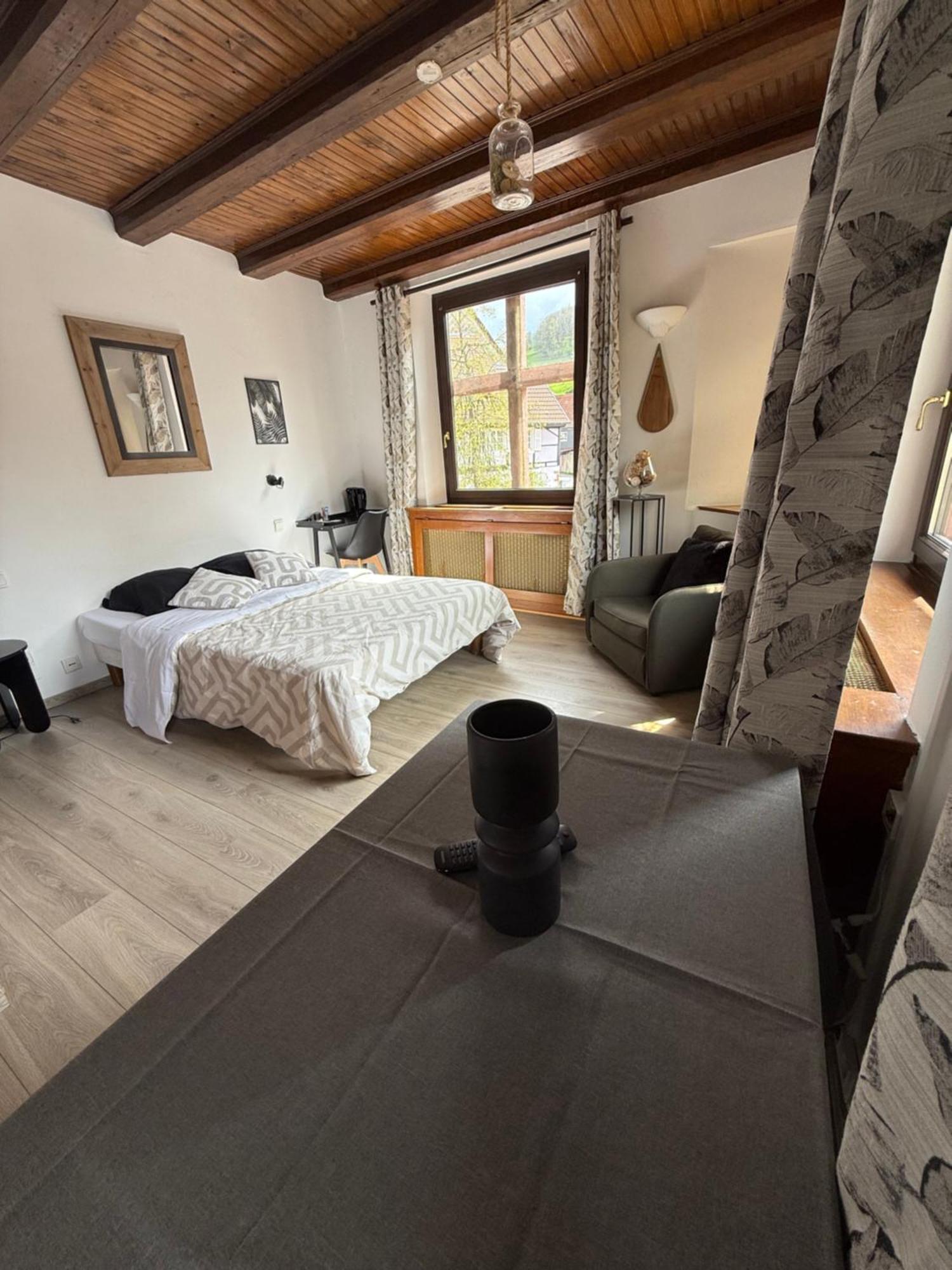 Hotel Wistub Le Passage Sainte-Marie-aux-Mines Ngoại thất bức ảnh